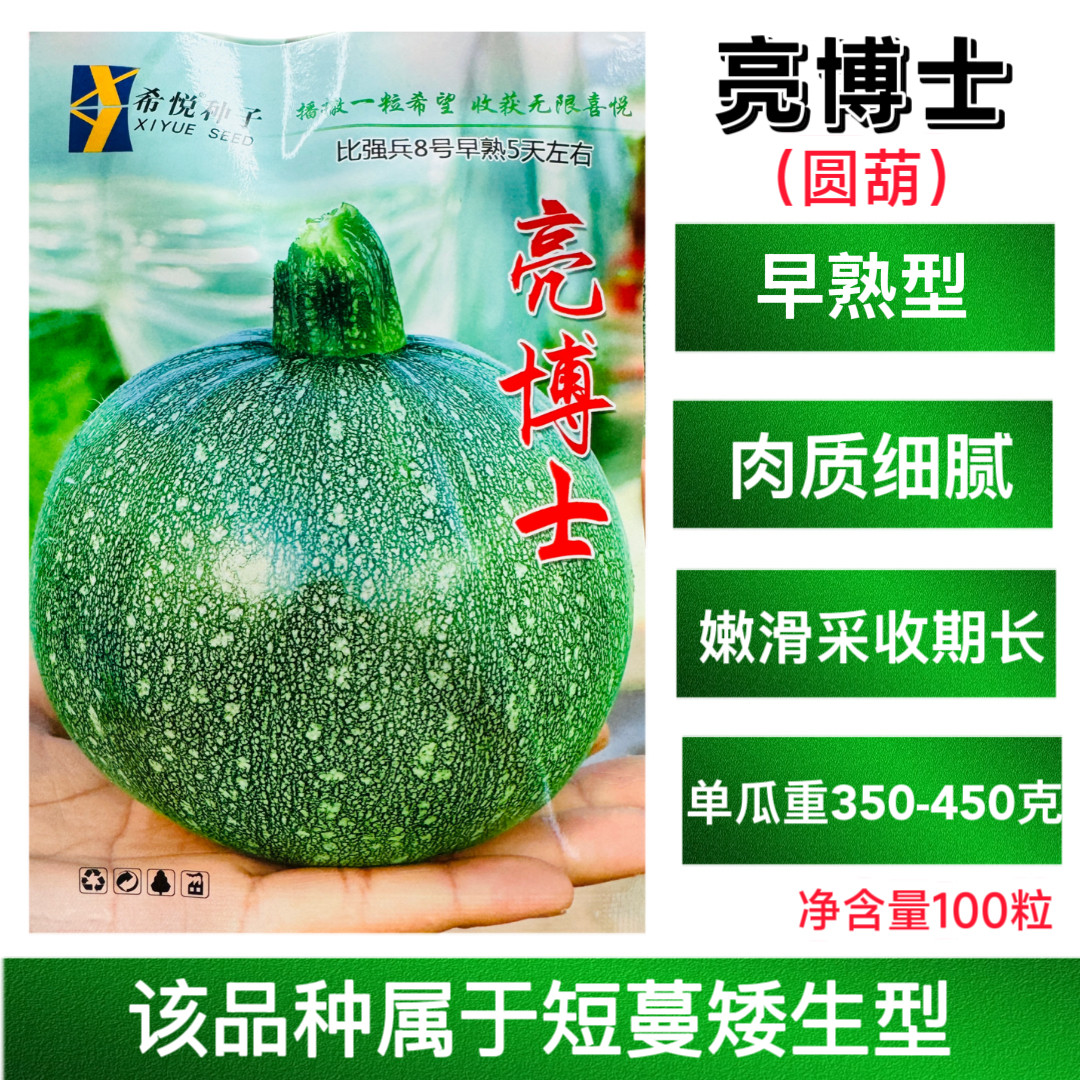 亮博士圆葫种子 短蔓矮生小南瓜种籽带碎花点耐低温抗病品质好