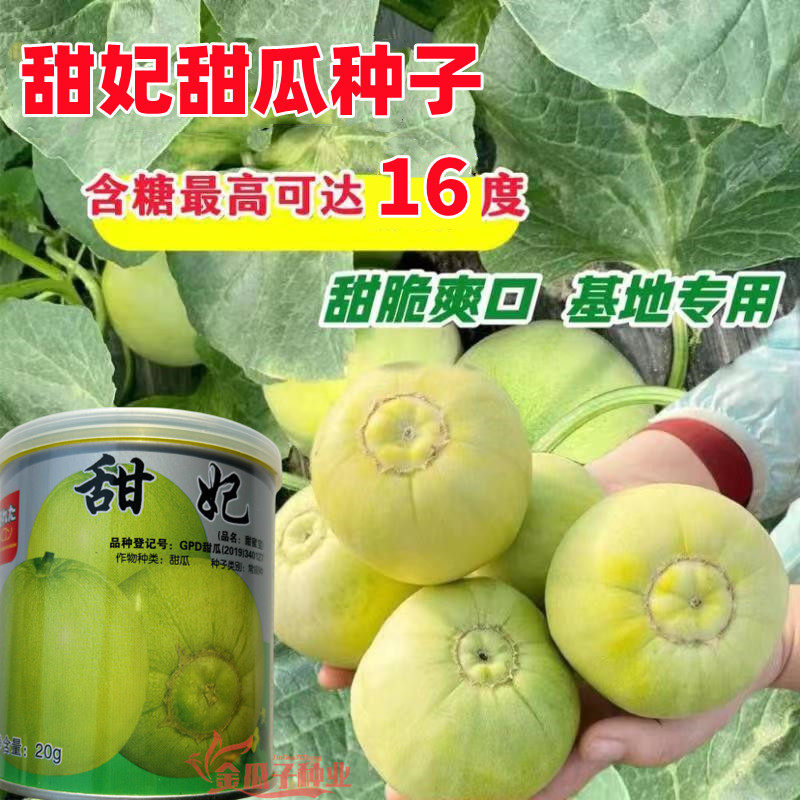荃银甜妃甜宝甜瓜种子超甜甜蜜宝香瓜种籽薄皮瓜清香特甜水果种籽