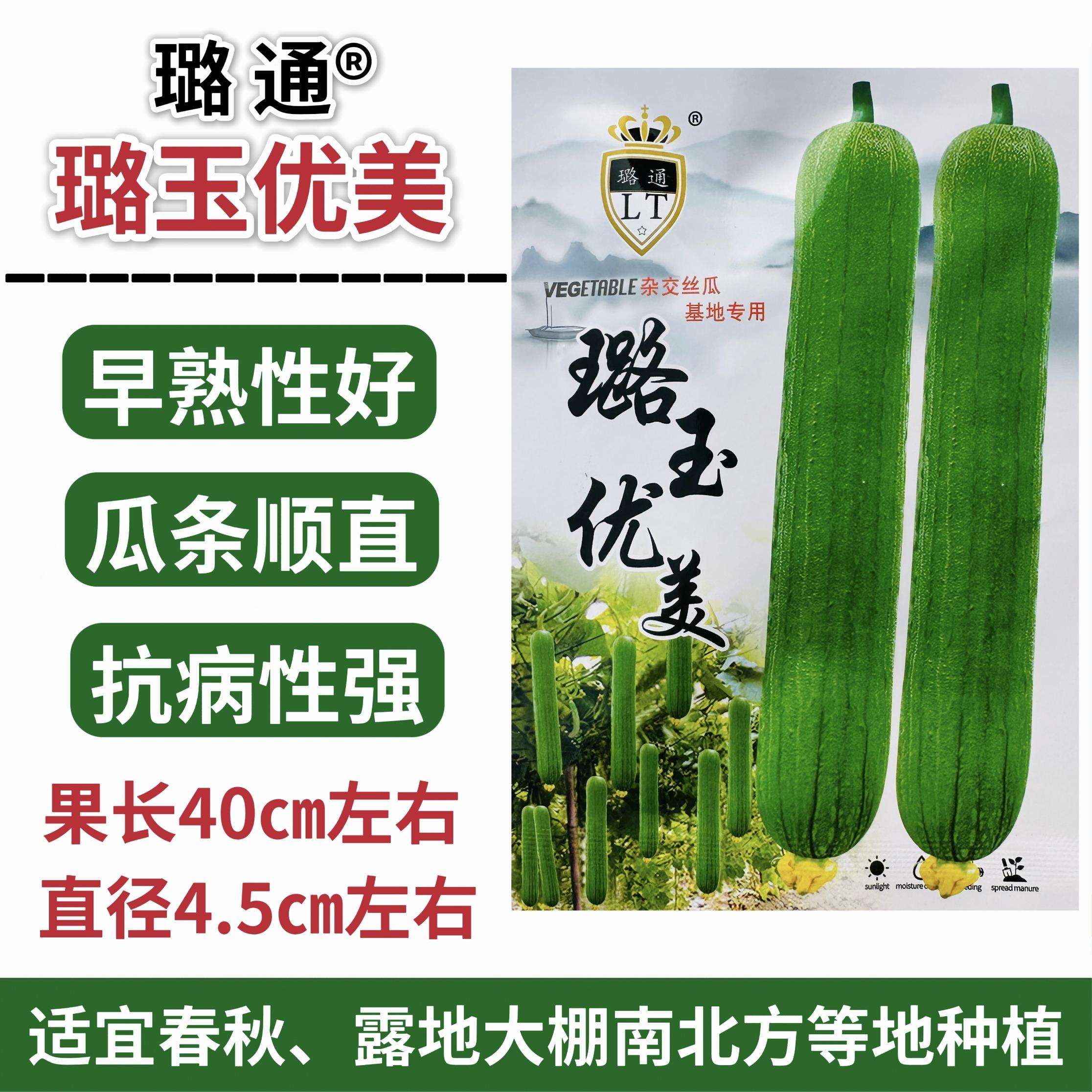璐玉优美丝瓜种子早熟高产杂交清香丝瓜种子春秋两季庭院蔬菜种籽