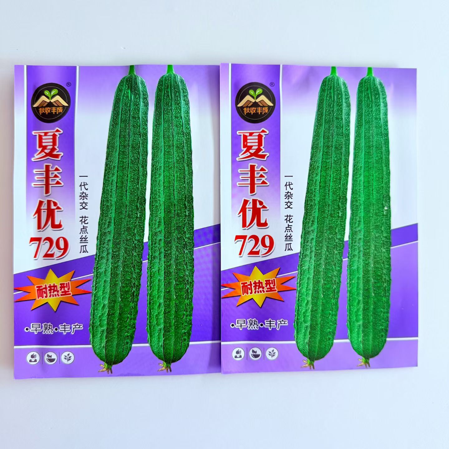 夏丰优729 花点大肉丝瓜种子 耐热早熟 棱丝瓜种籽农家春夏季种植