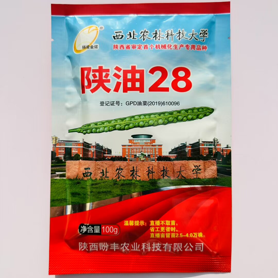 陕油28杂交油菜种子种籽油菜花籽种耐寒高产抗病可机收早熟油菜籽