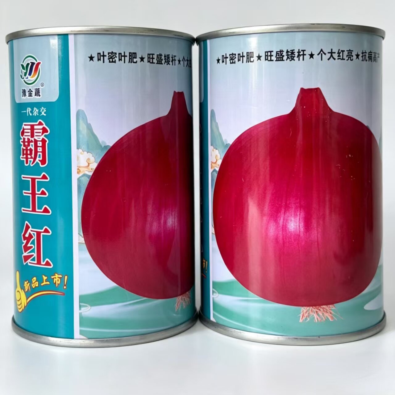 霸王红洋葱种子 杂交红皮洋葱种籽矮杆半高桩抗病强高产葱头种籽