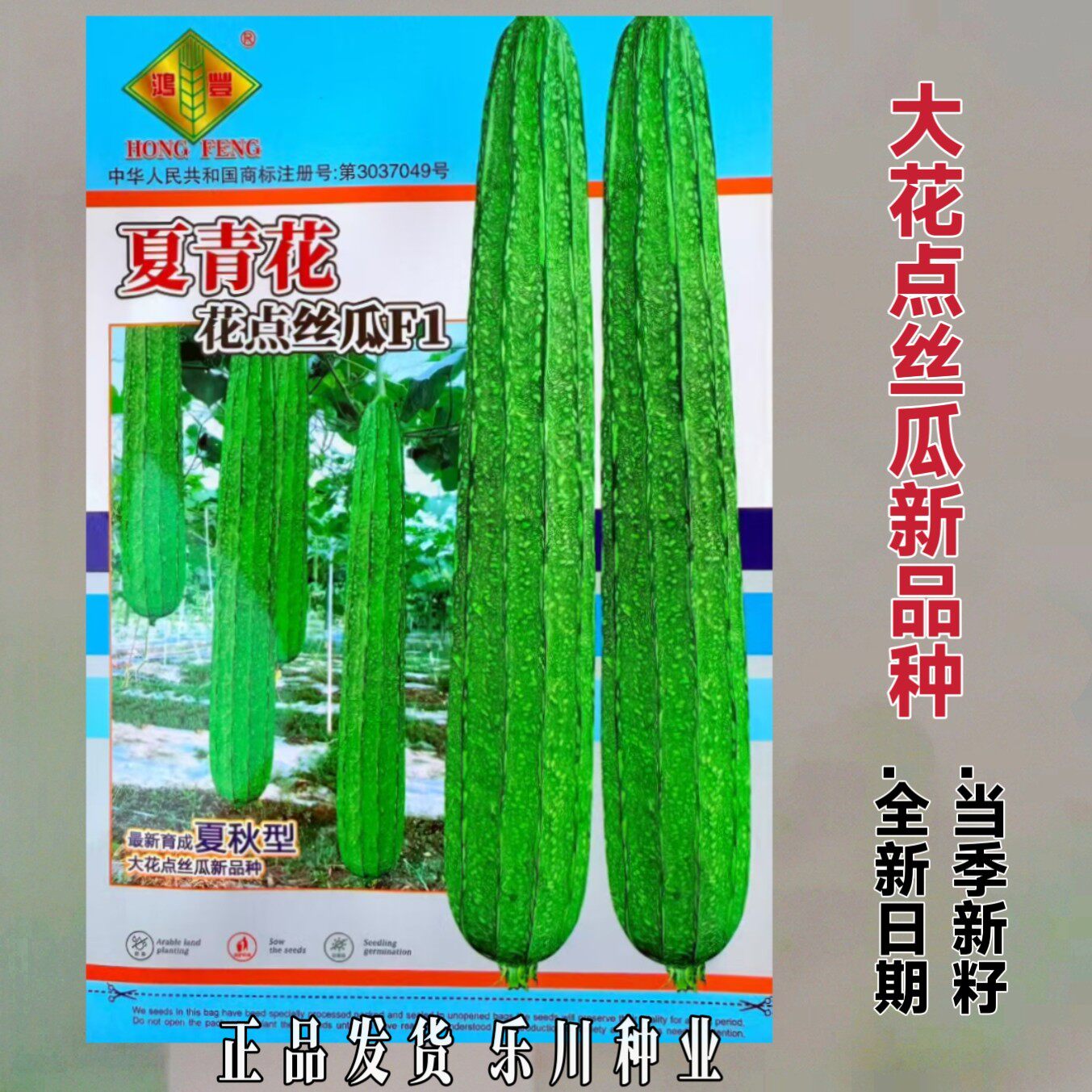 耐热大花点丝瓜种子夏青花丝瓜种籽杂交种新品种清甜棱角丝瓜高产