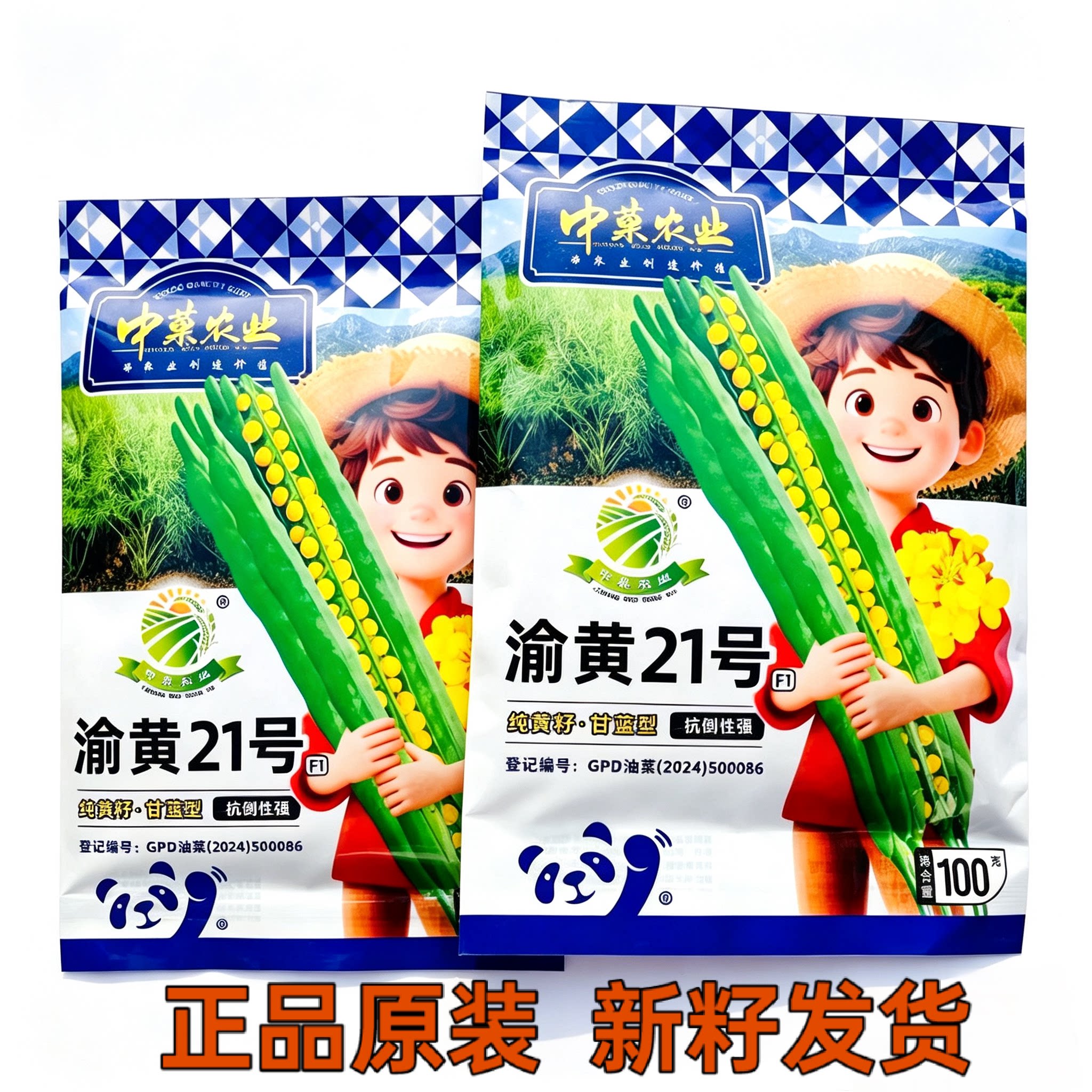 渝黄21号油菜种子 杂交甘蓝型双低大粒纯黄籽品种抗倒性强出油高