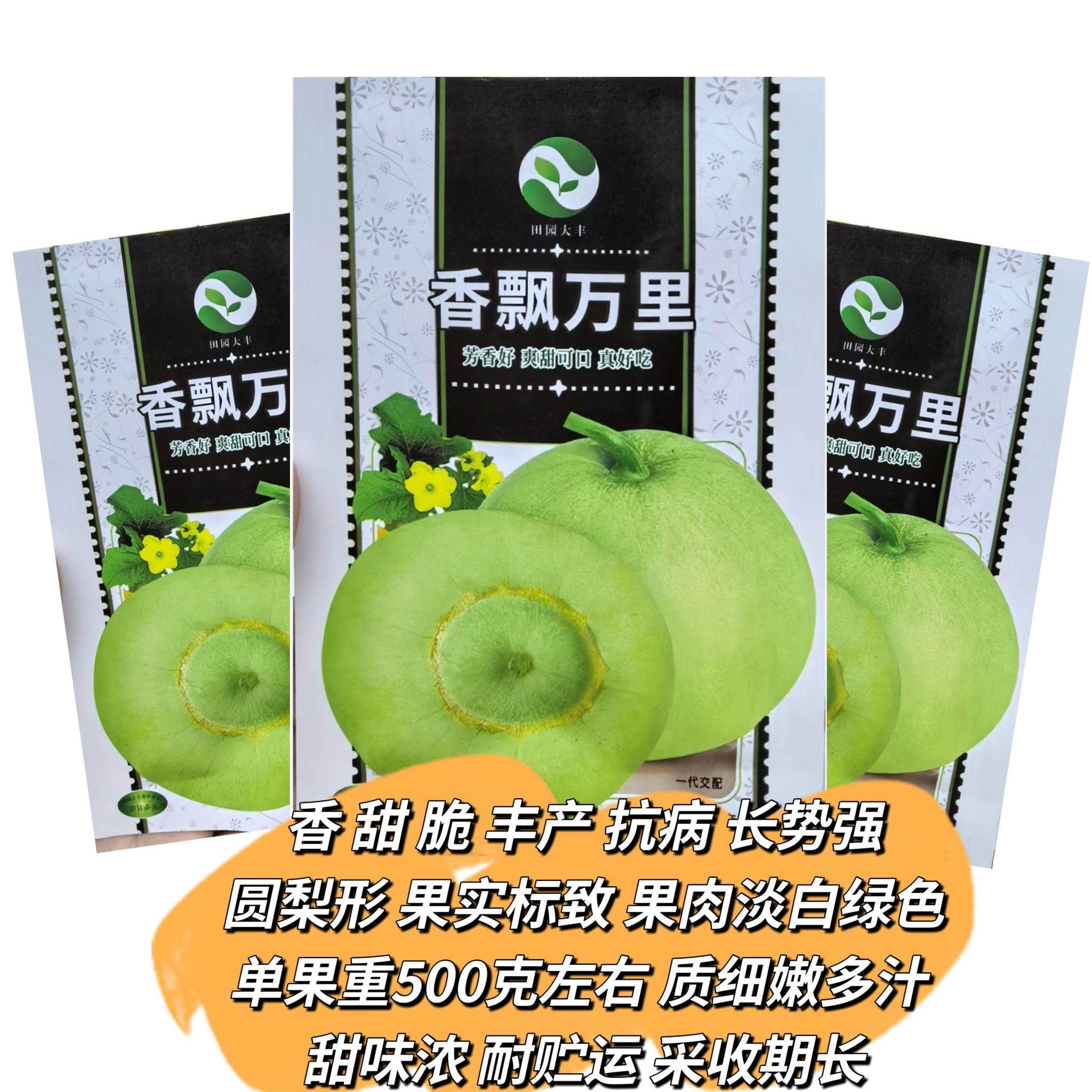 香飘万里甜瓜种子香甜脆高糖梨形香瓜种子南北方春秋季播水果种孑
