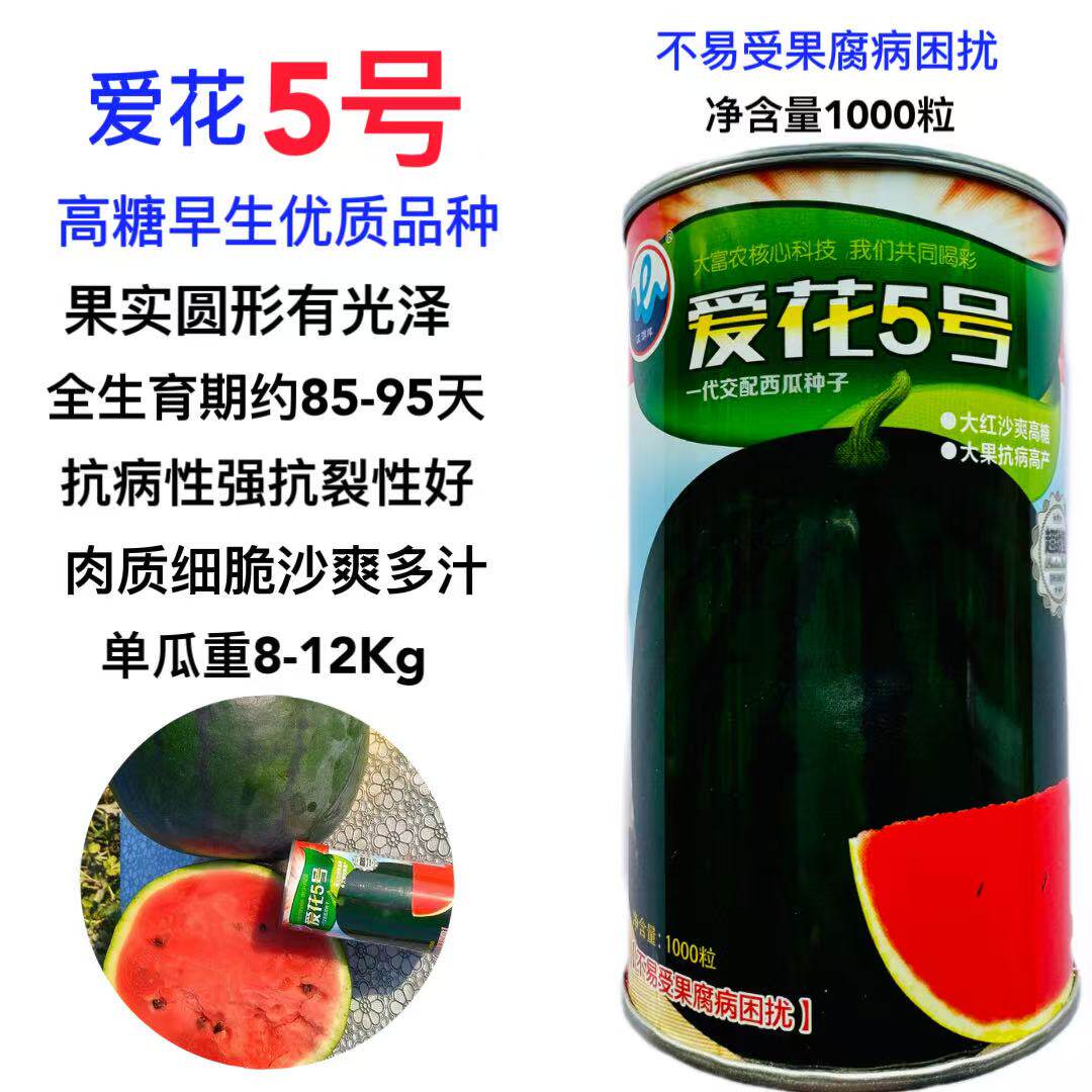 浪潮爱花五号西瓜种子抗病高糖墨绿花皮大果耐裂西瓜种籽风味香甜