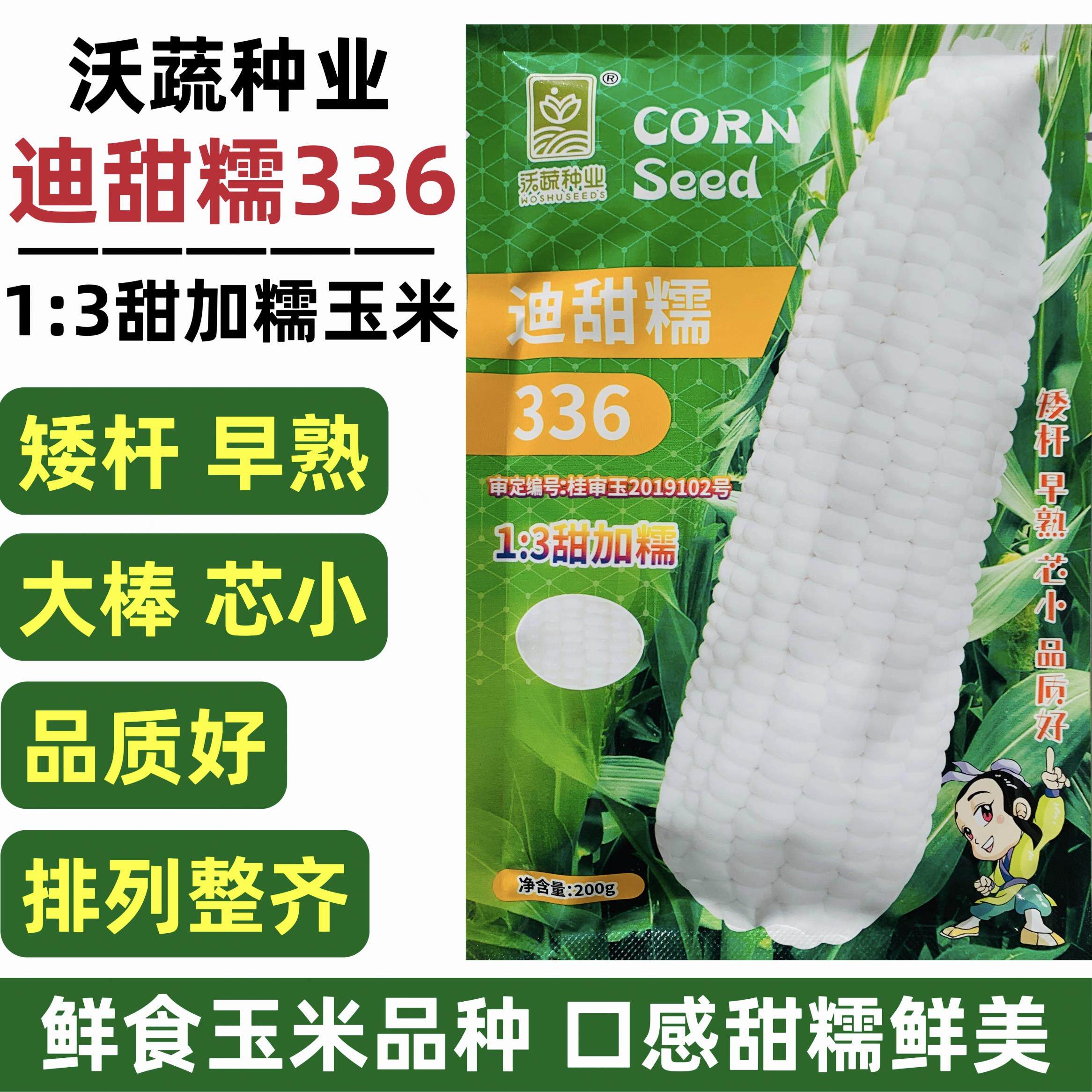 迪甜糯336玉米种子矮杆早熟大棒鲜食非转白色甜加糯玉米种籽高产