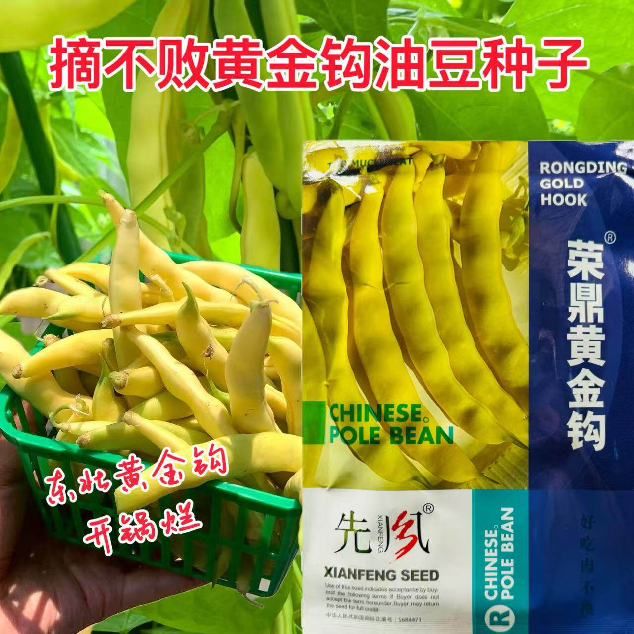 荣鼎黄金钩架豆种子早熟蔓生圆角肉厚阳台庭院播蔬菜春夏豆角种籽