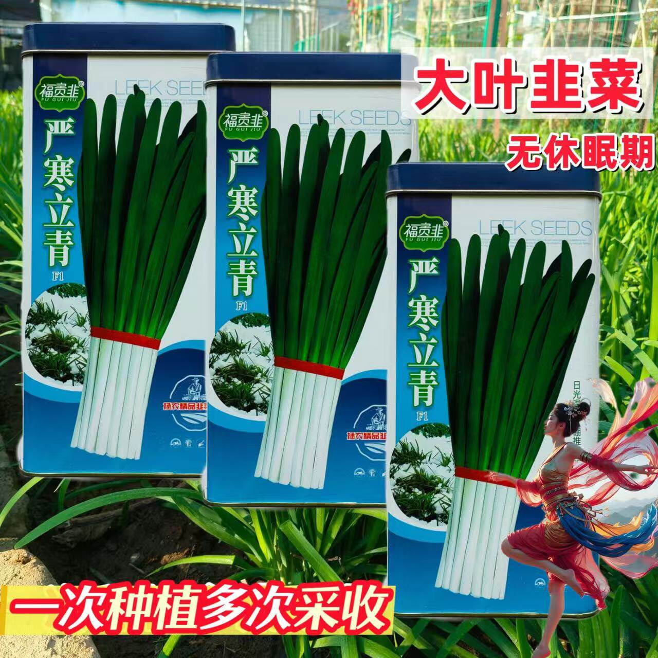 严寒立青韭菜种子高产抗病耐寒不休眠韭菜种籽孑农家四季蔬菜种子