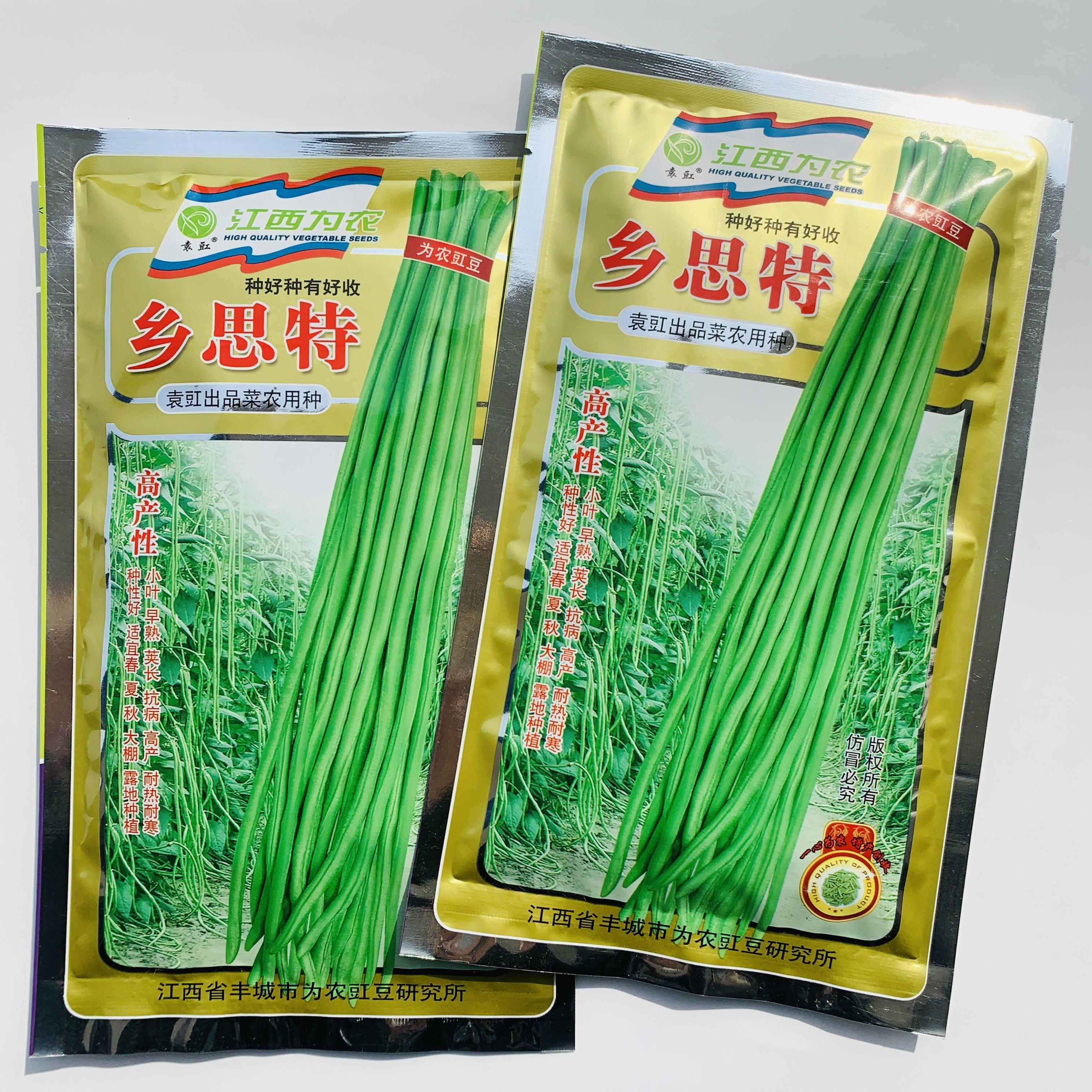 高产四号豇豆种子大全特