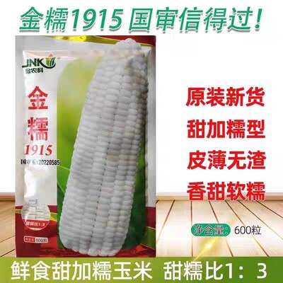 国申金糯1915白糯玉米种子大棒甜糯玉米种籽南方农家大田春秋播种