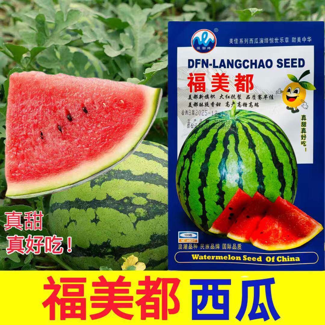 福美都西瓜种子高产抗病耐裂超甜西瓜种籽8424美都西瓜种籽孑