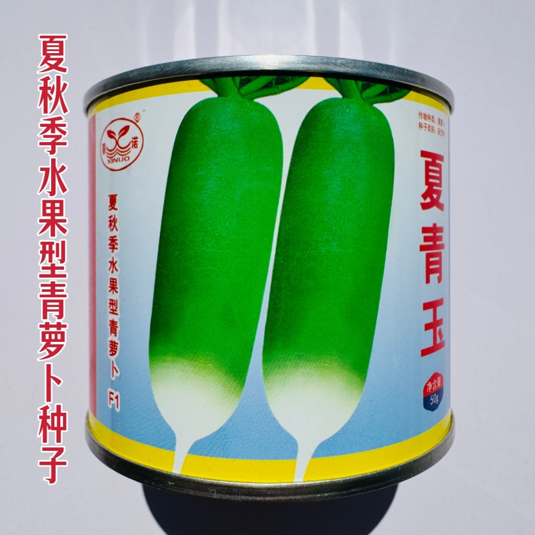 夏青玉夏秋季水果型青萝卜种子抗病耐热大青萝卜种籽皮薄多汁脆甜