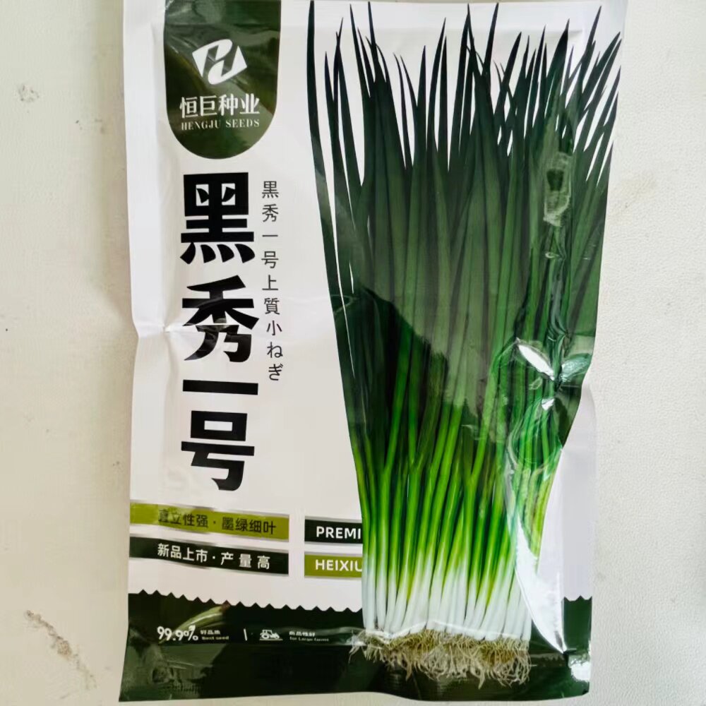 黑秀一号小钢葱种子耐热耐寒四季小香葱速生种子蔬菜种子阳台盆栽