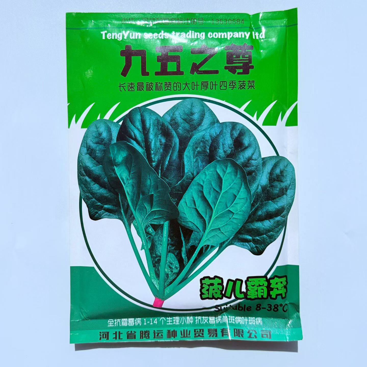 九五至尊菠菜种子大叶厚叶四季蔬菜种籽春夏秋季籽种耐热波菜种孑