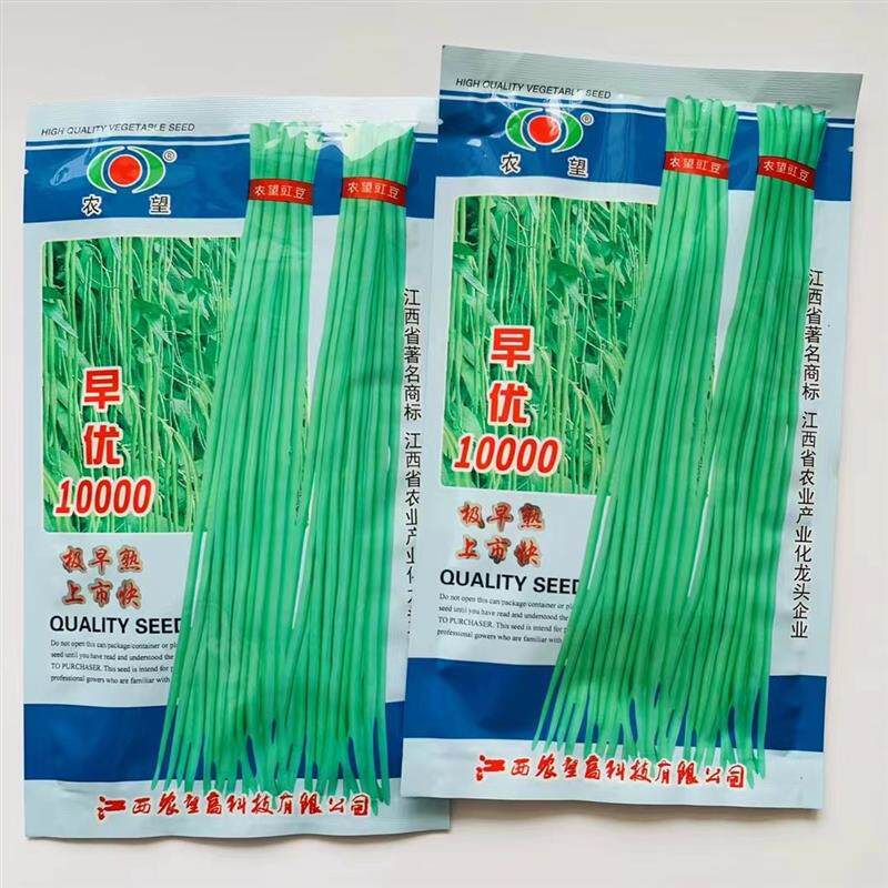 早优1长豇豆种子极早熟荚