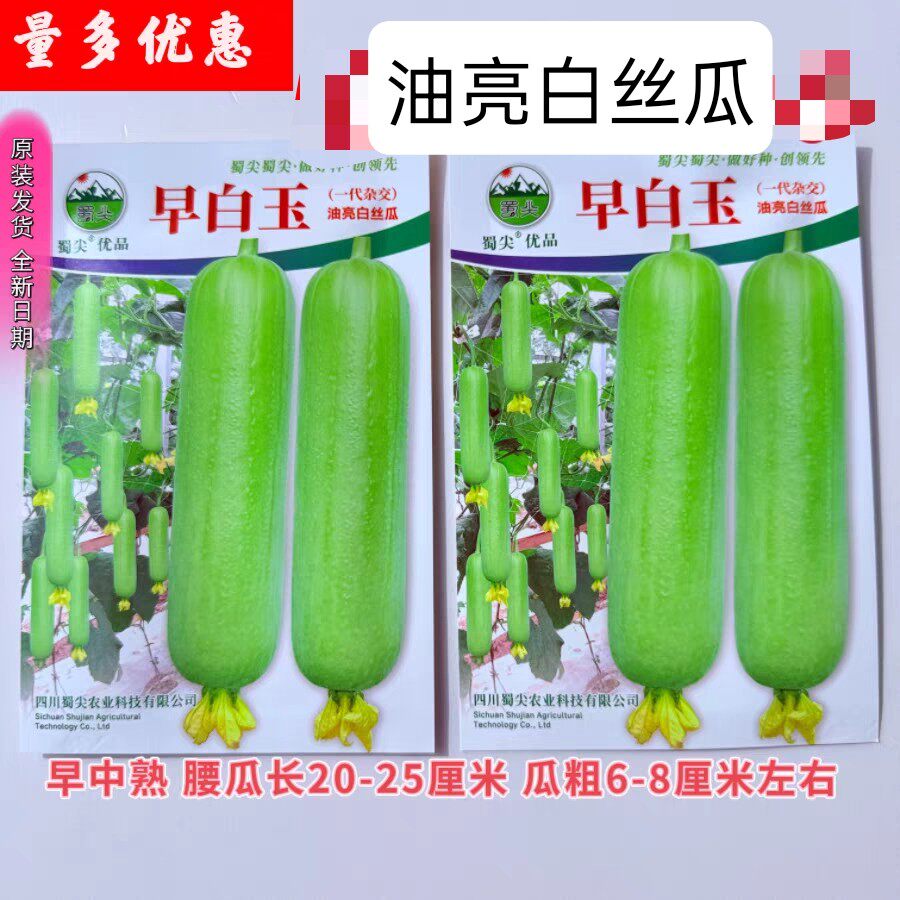 早白玉油亮白丝瓜种子肉质细嫩清甜可口一代杂交丝瓜种籽春秋季播