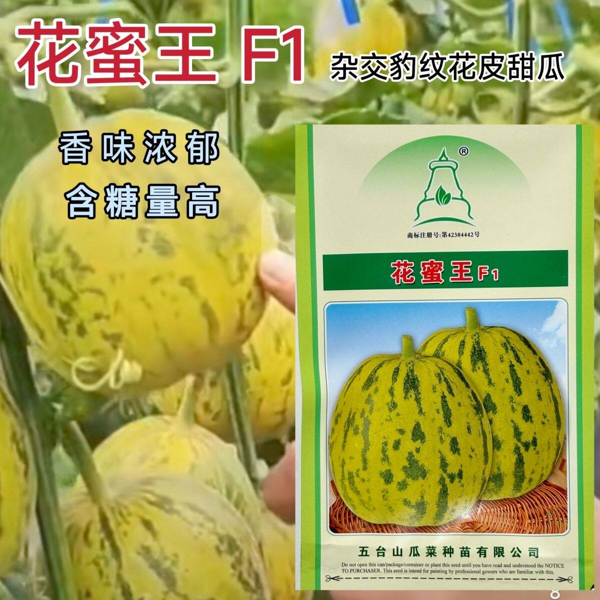 花蜜王花皮豹纹甜瓜种子杂交花皮香瓜香子美观甜度高香味浓春秋播