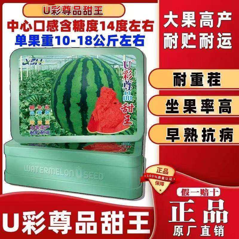 U彩尊品甜王西瓜种子早熟抗病薄皮懒汉西瓜种子大果特甜西瓜种子