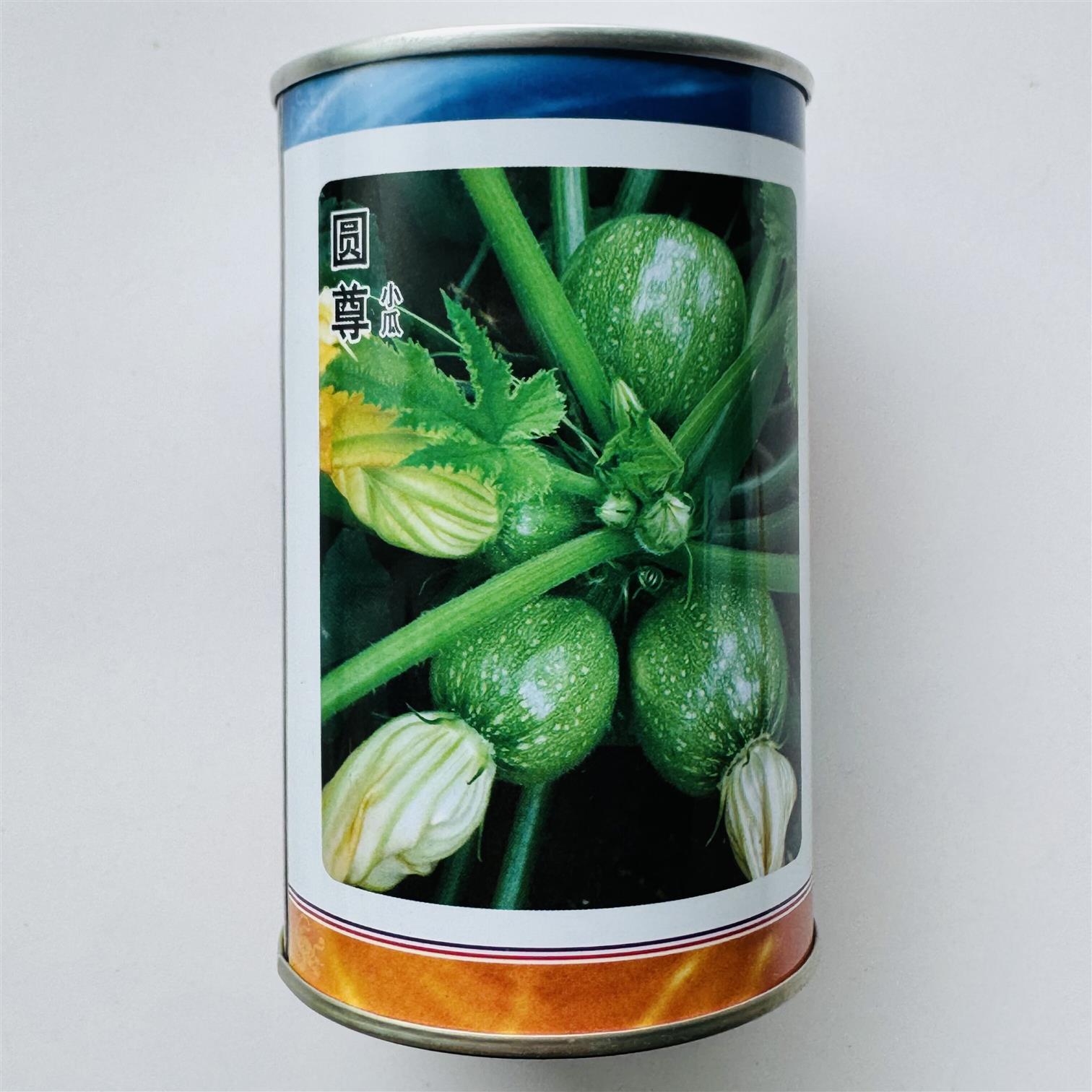圆尊小瓜西葫芦种子 早熟短蔓短蔓圆球形耐热耐寒春秋播蔬菜种孑