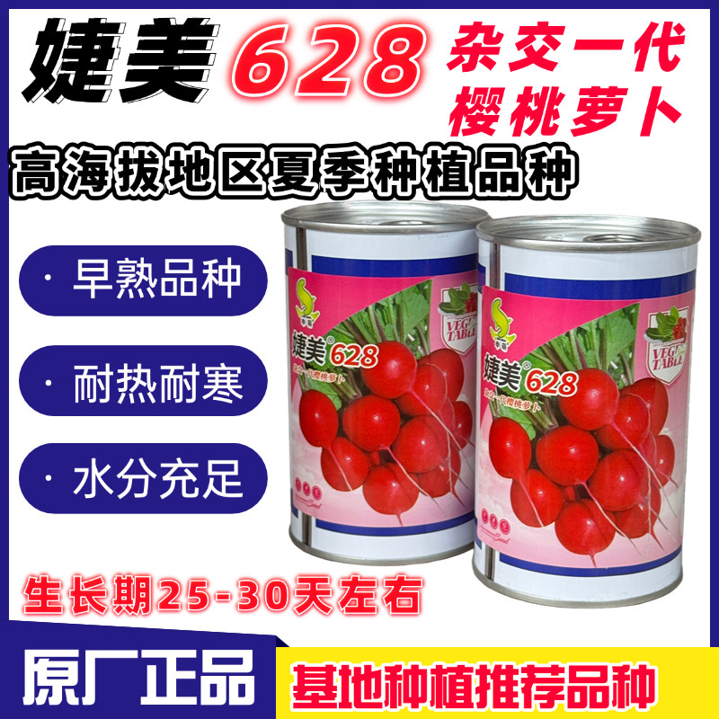 婕美628樱桃萝卜种子早熟