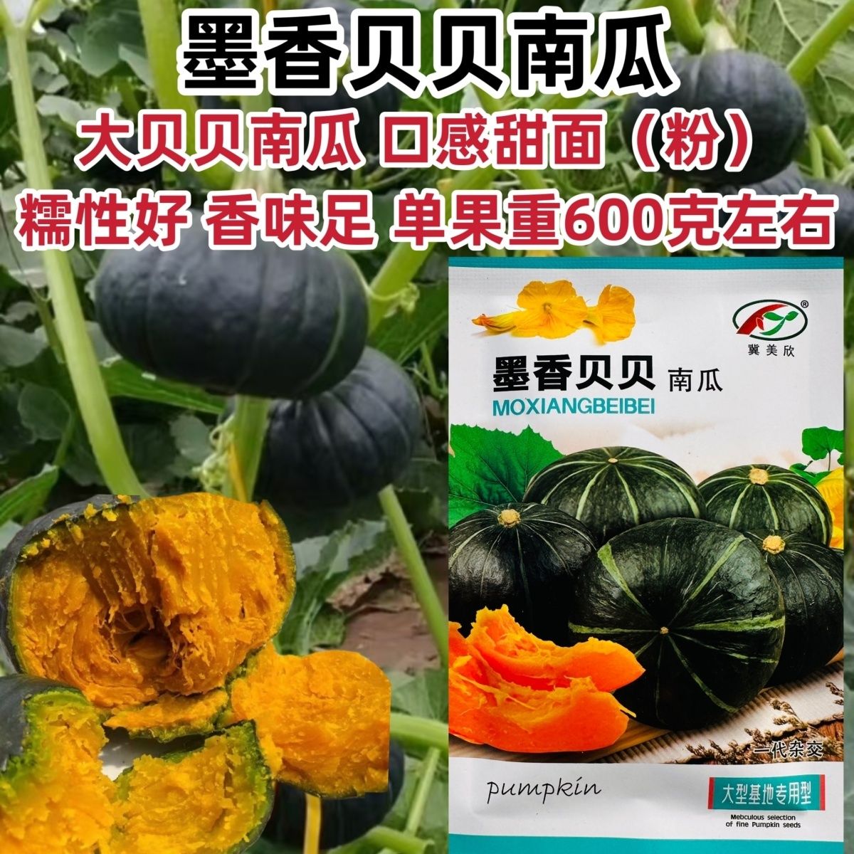 墨香贝贝南瓜种子高产甜