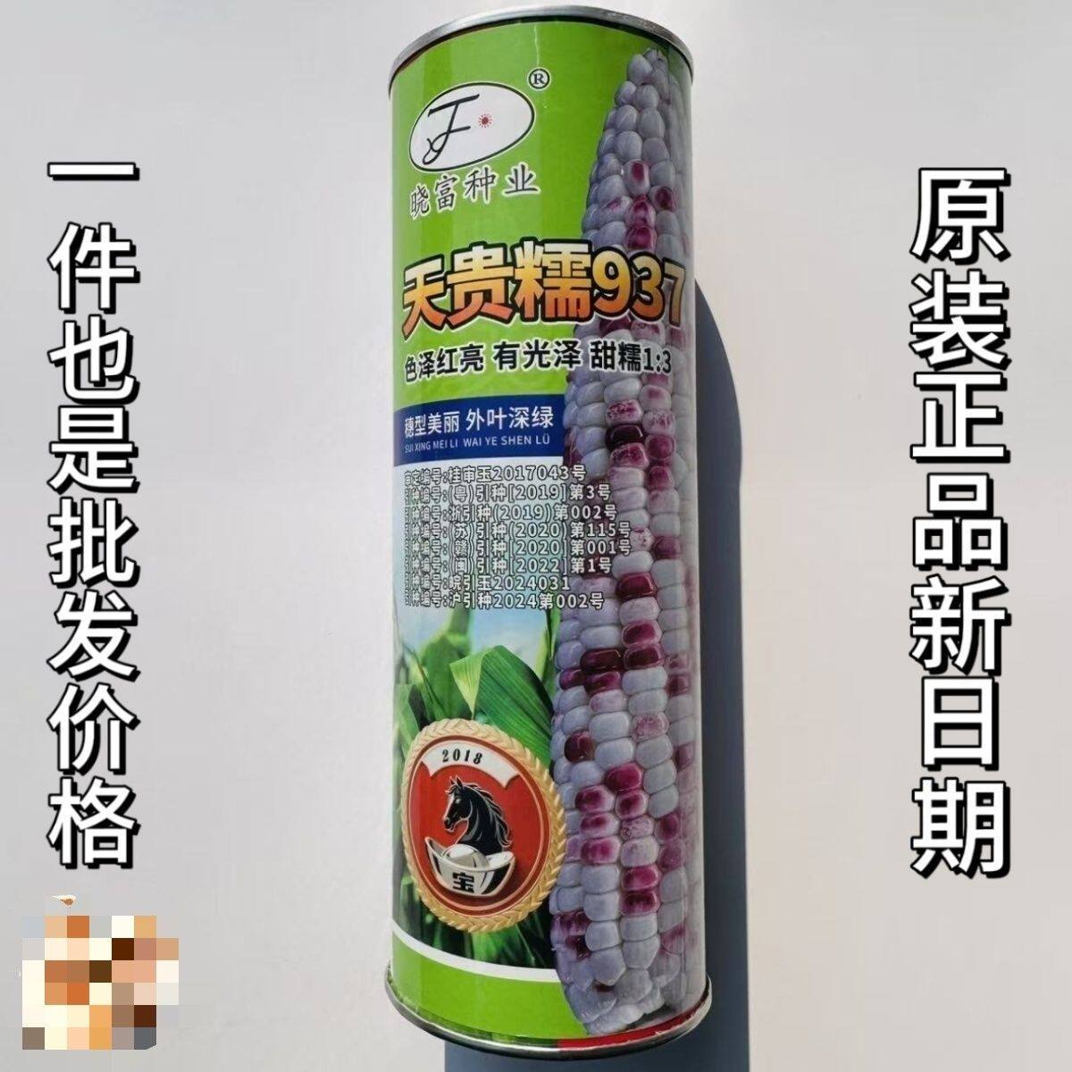 晓富2018宝马天贵糯937甜糯玉米籽种 大棒彩糯粘玉米种子大田用种