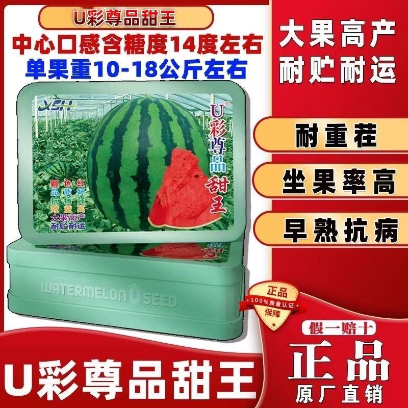 U彩尊品王西瓜种子高产抗病耐重茬大果西瓜种籽红瓤红肉西瓜种子