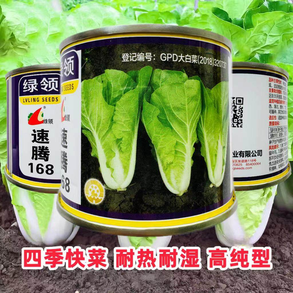 速腾168快菜种籽早熟丰产快菜种子味道鲜美叶片厚白耐热无刺毛孑,鲜花速递/花卉仿真/绿植园艺,家庭园艺种子,淘宝优惠券,粉丝福利购,淘宝优惠卷
