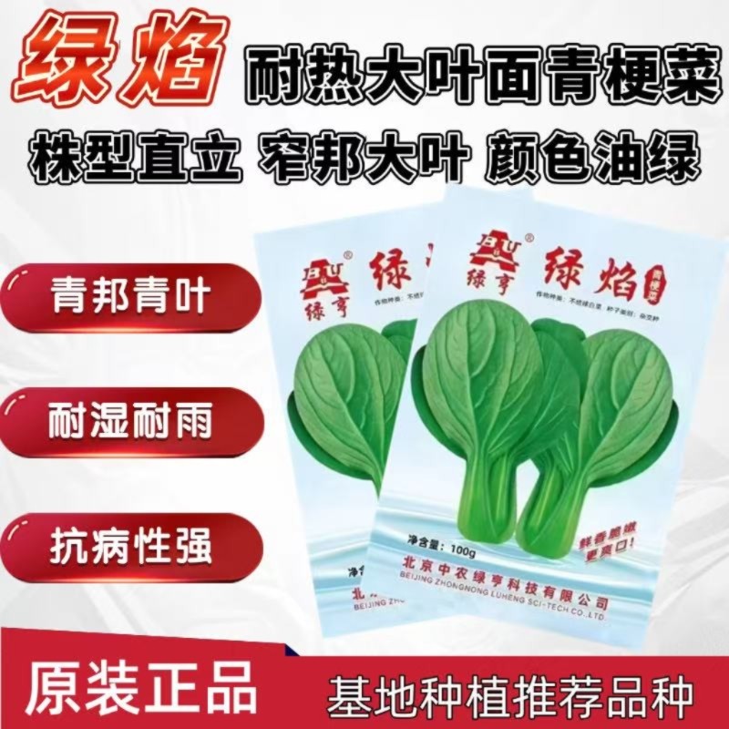 绿亨绿焰青梗菜种子农家图片