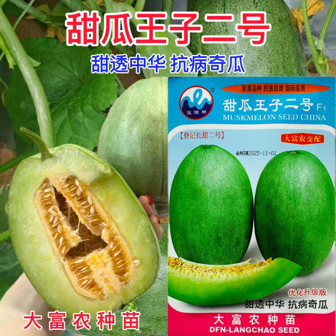 浪潮牌甜瓜王子二号甜瓜种子中早熟长椭圆形香瓜种籽抗病耐重茬孑