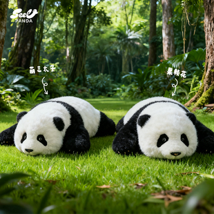 西柚熊猫3月龄趴姿花花和叶/萌兰熊猫工厂发声款毛绒玩偶圣诞礼物