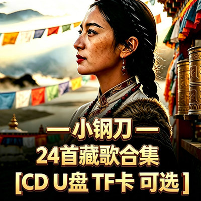 小钢刀车载U盘cd新款2026
