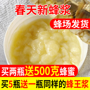 今年新货蜂王浆蜂场直销油菜春浆自产新鲜蜂皇浆500g