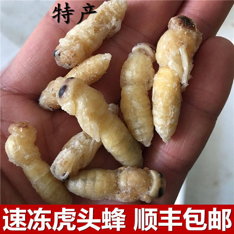 虎头蜂蛹高蛋白新鲜马蜂蛹蜂生冰冻蚂胡蜂虫黄蜂仔幼蜂野生500g