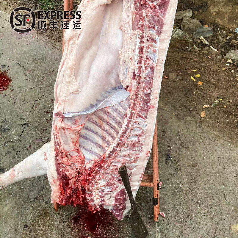 正宗农家黑毛土猪肉新鲜农户黑猪腿肉五花肉肋条肉散养笨猪肉顺丰