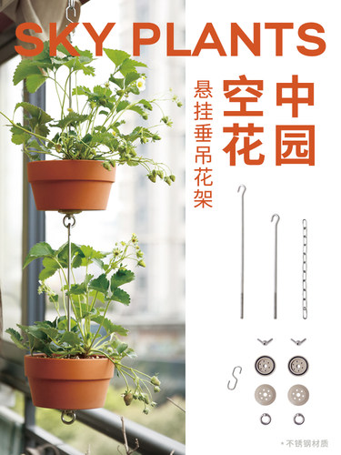 悬挂花架麦芽森林绿植垂吊简约