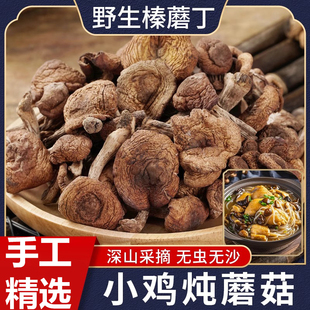 2025新干货东北特产纯野生榛蘑丁农家小鸡炖蘑菇特产营养菇非香菇