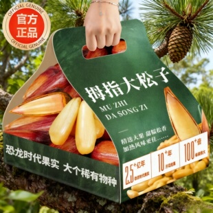 央妈推荐云南巴拉那松子拇指大松子云南大松子巴西松子巴拉纳松