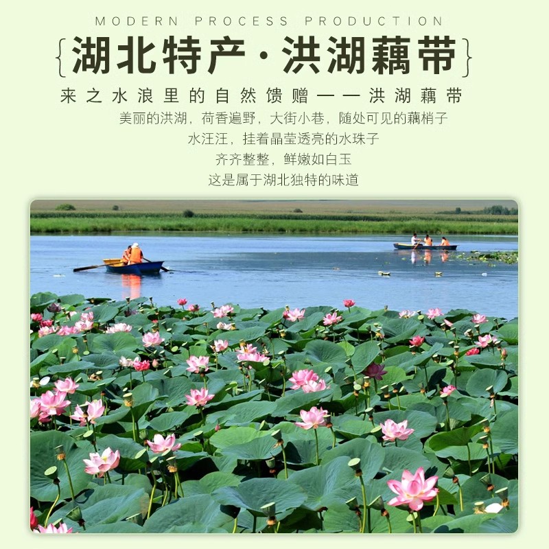 洪湖泡椒藕带湖北特产洪湖新鲜藕带酸辣藕节藕尖开袋即食凉菜