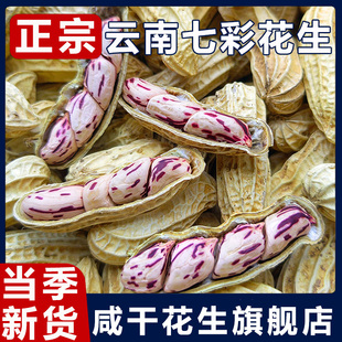 云南七彩花生旗舰店云南特产咸干带壳新货香甜原味新鲜熟水果花生