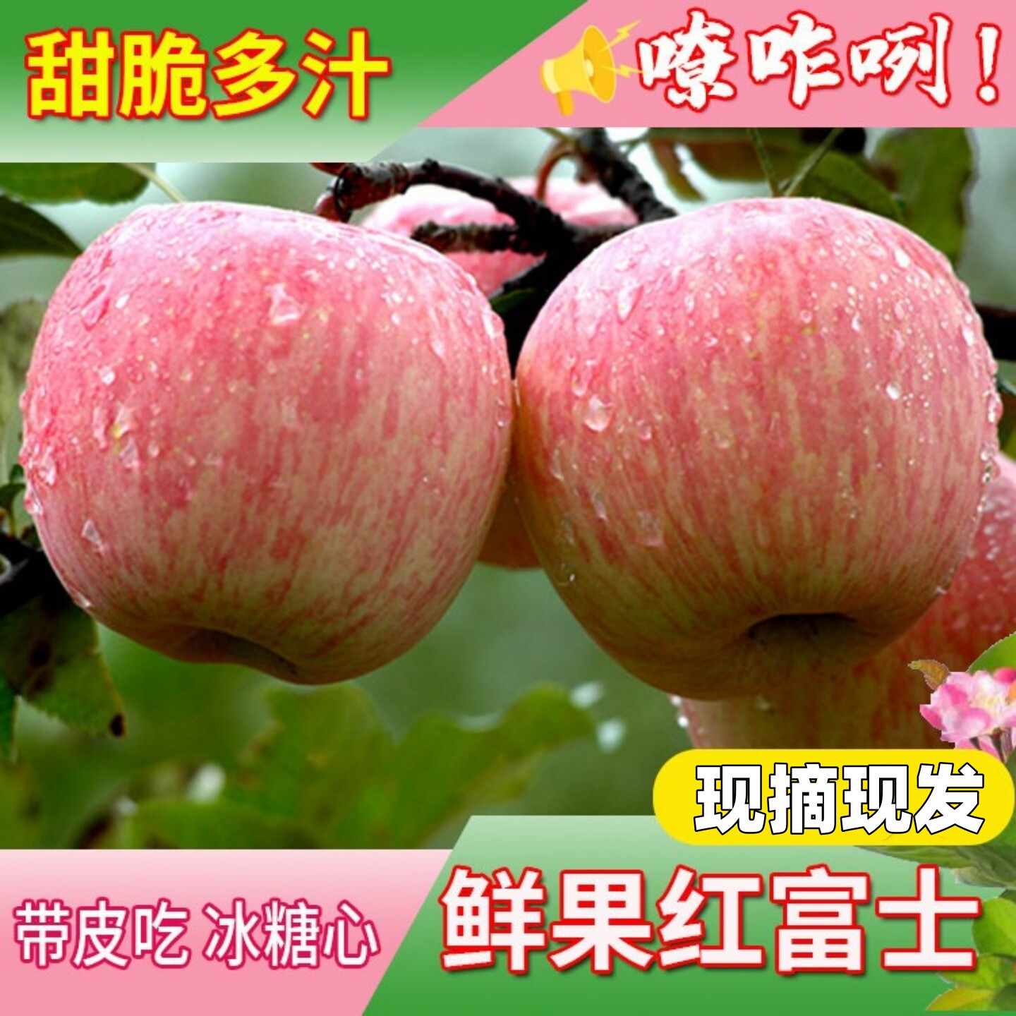 陕西红富士苹果整箱大果