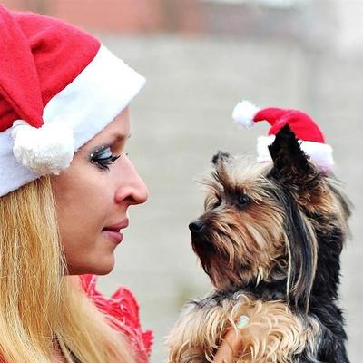 Christmas Pet Hat for Dogs, Red Santa Claus Costume