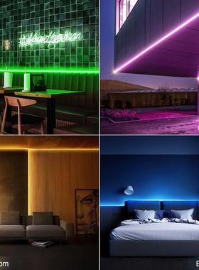 12V LED Strip Neon Lights Tuya Smart Life WiFi Bluetooth RGB