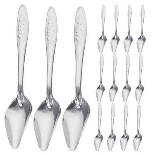 Feeding Pet Spoon for Birds Stainless Baby Steel