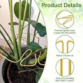Sturdy Monstera Alloy Support Pole Shaped Plant