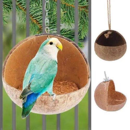 Coconut Bird House Natural Bird Hideaway And Parakeet Nest