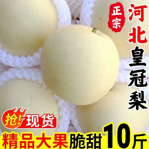 河北正宗皇冠梨新鲜梨子水果脆甜多汁大果薄皮雪梨皇冠梨整箱包邮