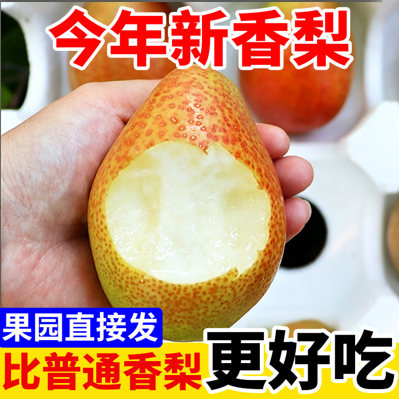 新鲜红香酥梨脆甜梨子当季水果薄皮香梨青皮酥梨脆蜜雪梨整箱直发
