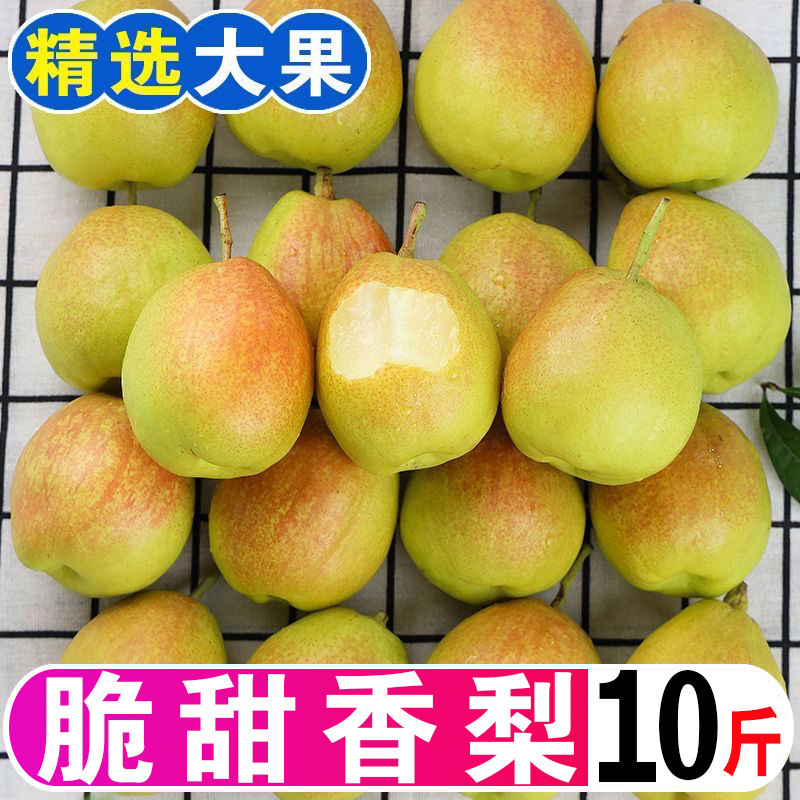 红香酥梨10斤新鲜水果酥梨应季香梨整箱5斤脆甜多汁皮薄梨子包邮